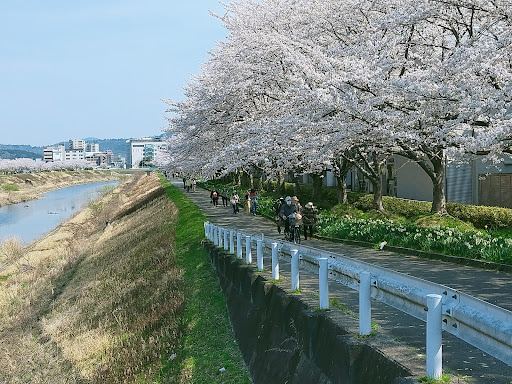 Chaku Chaku Chaku Sandaの掲載写真3