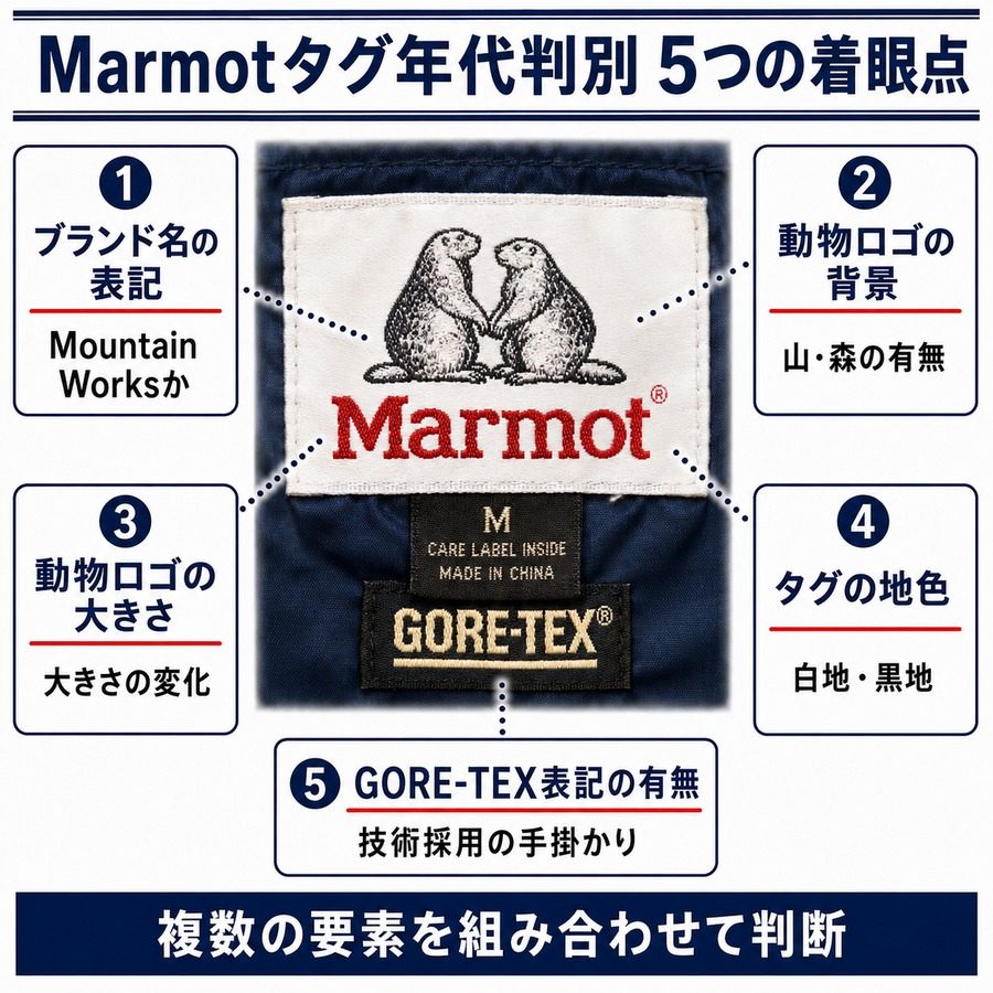 Marmotタグ年代判別 5つの着眼点